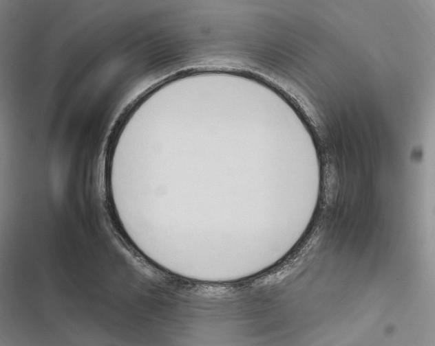 X0000116680982201001251256