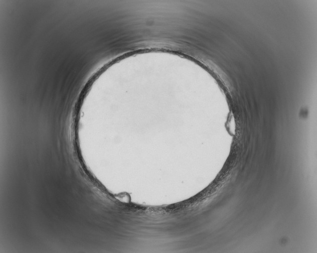 X0000116680983201001251256