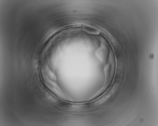 X0000116680985201001251256