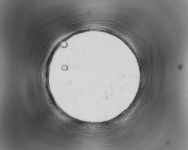 X0000116680987201001251256