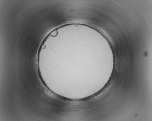 X0000116680988201001251256