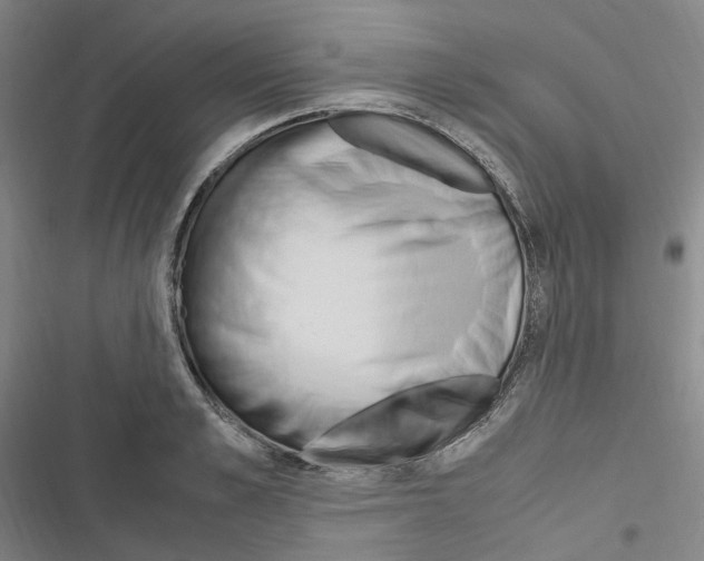 X0000116680989201001251256