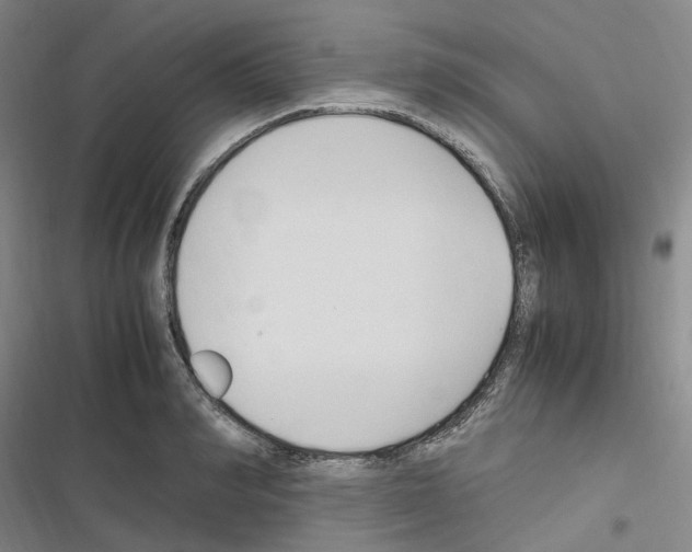 X0000116680990201001251256