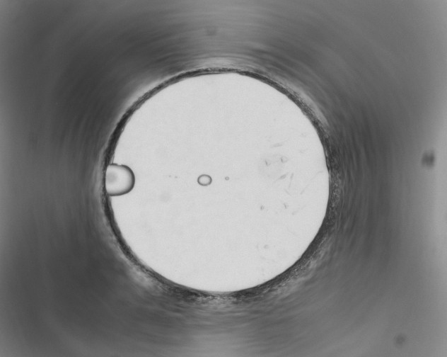 X0000116680991201001251256