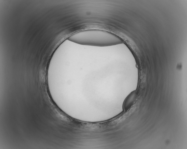 X0000116680993201001251256