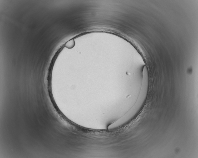 X0000116680995201001251256