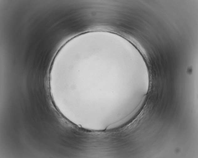 X0000116680996201001251256