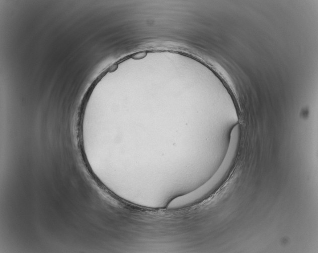 X0000116680997201001251256