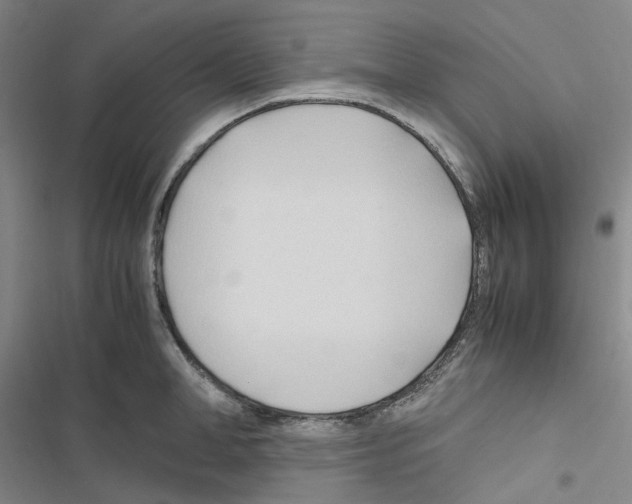 X0000116680998201001251256