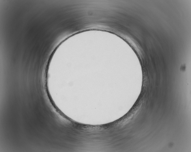 X0000116680999201001251256