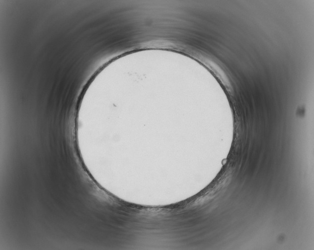 X0000116681000201001251256