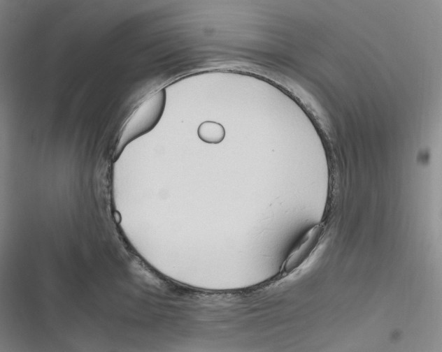 X0000116681001201001251256