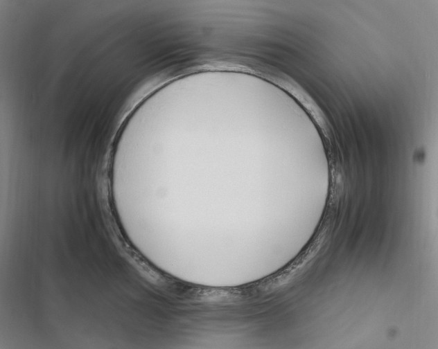 X0000116681002201001251256