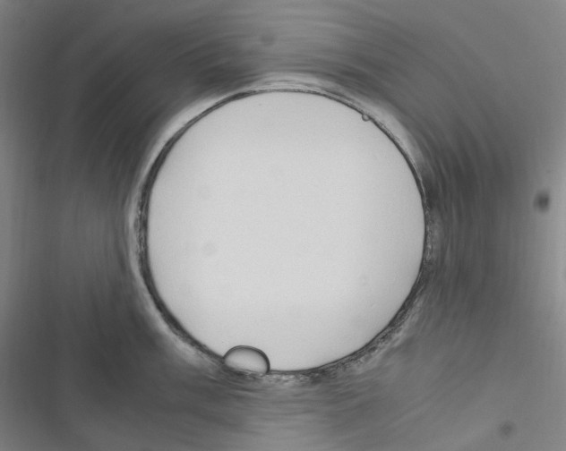 X0000116681003201001251256