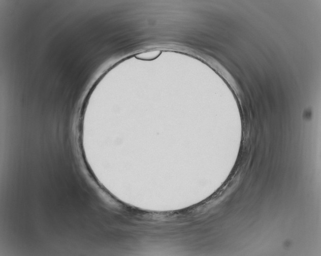 X0000116681005201001251256