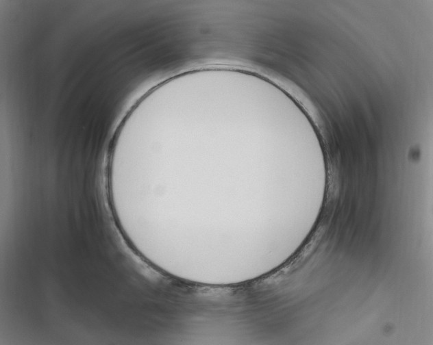 X0000116681006201001251256