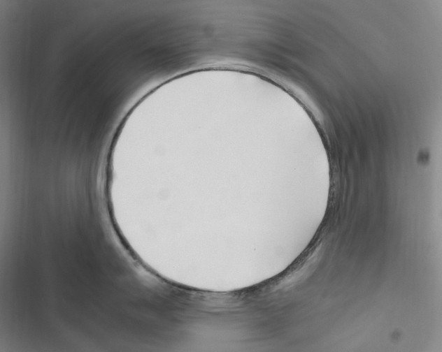 X0000116681007201001251256