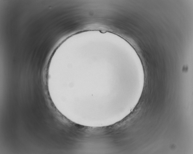 X0000116681008201001251256