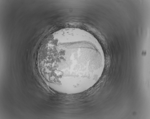 X0000116681009201001251255