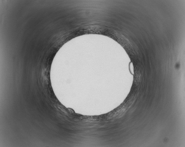 X0000116681010201001251255