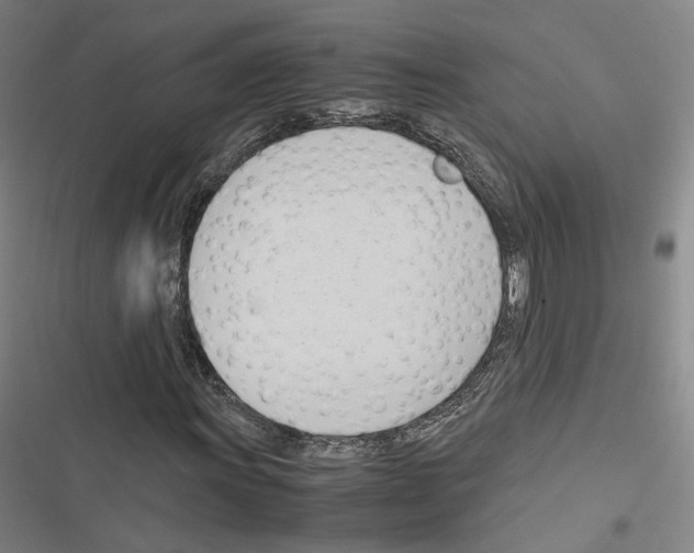 X0000116681011201001251255