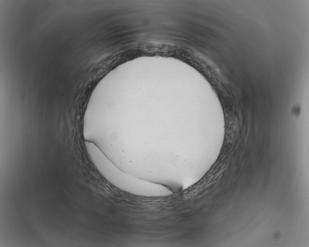 X0000116681013201001251255