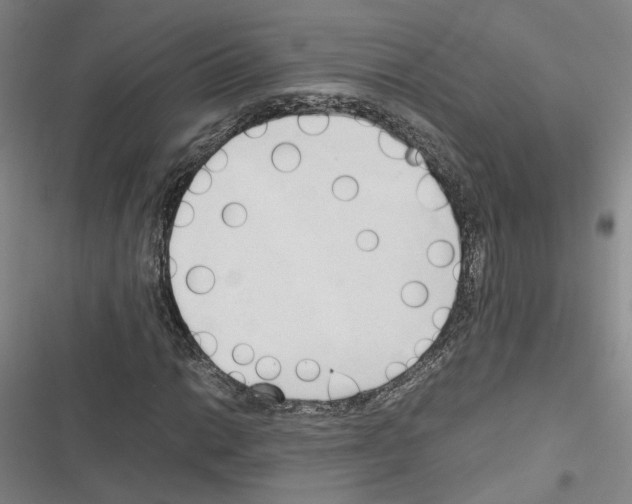 X0000116681014201001251255