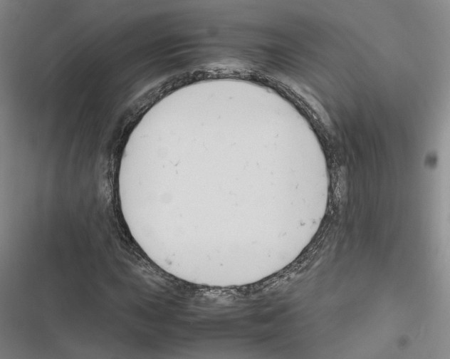 X0000116681015201001251255