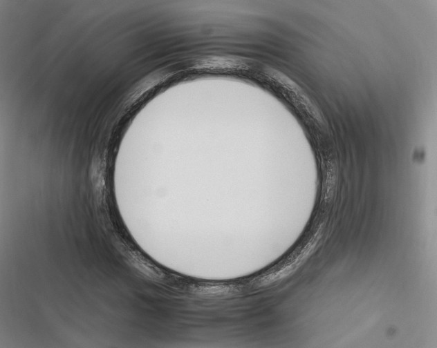 X0000116681017201001251255