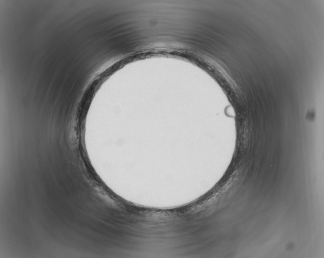 X0000116681018201001251255