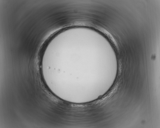 X0000116681019201001251255