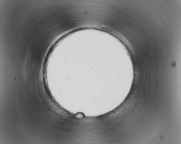 X0000116681020201001251255