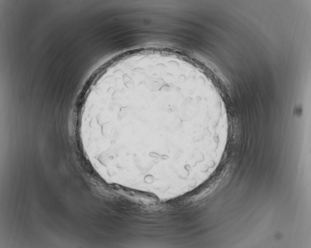 X0000116681021201001251255