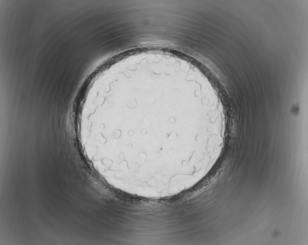 X0000116681022201001251255