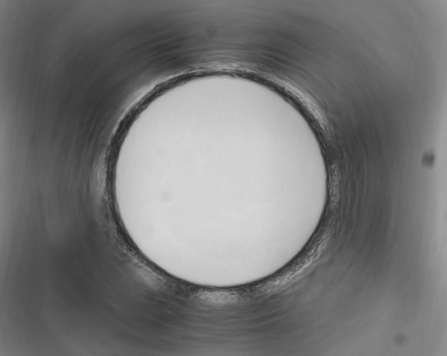 X0000116681023201001251255