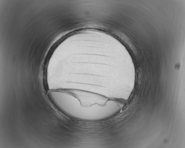 X0000116681024201001251255