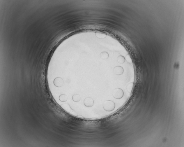 X0000116681025201001251255