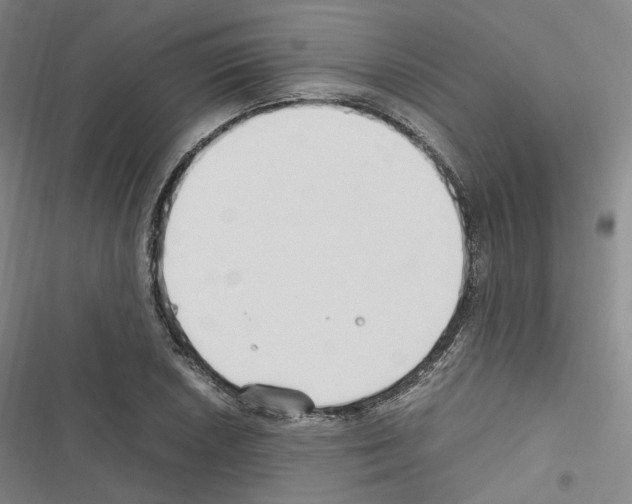 X0000116681026201001251255