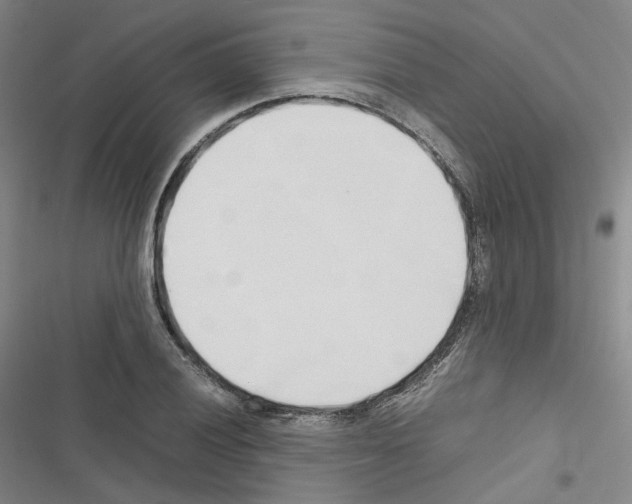 X0000116681028201001251256