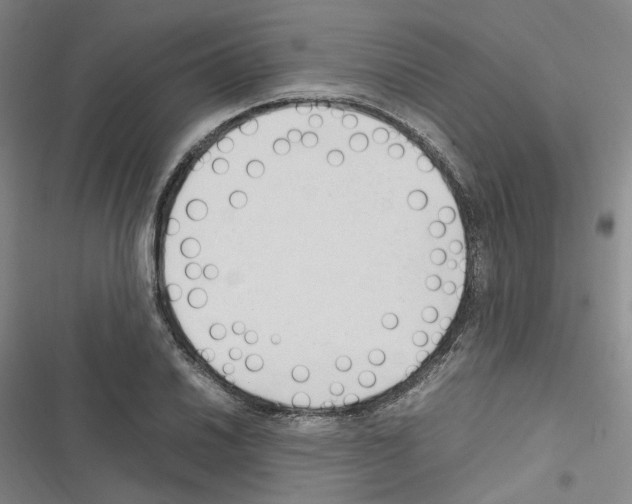 X0000116681030201001251256