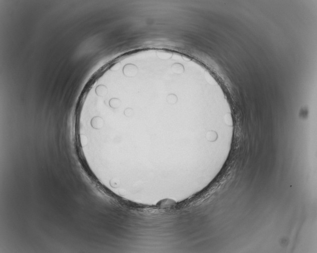 X0000116681032201001251256