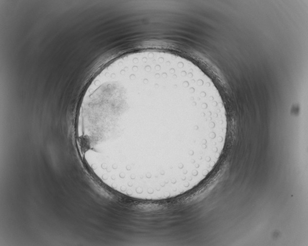 X0000116681033201001251256