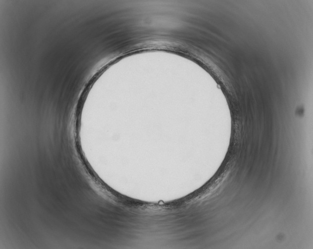 X0000116681034201001251256