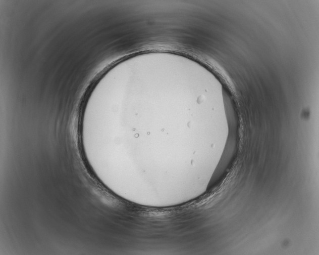 X0000116681035201001251256