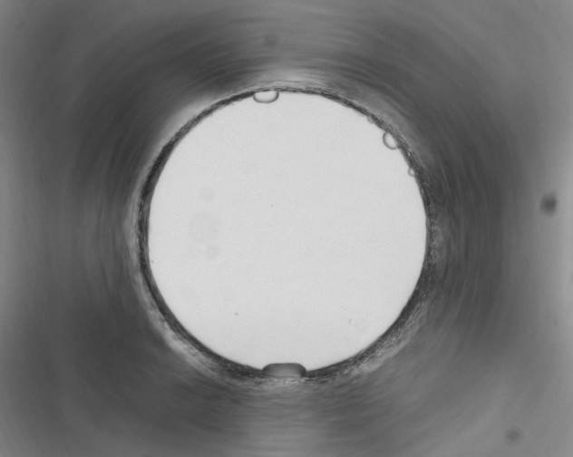 X0000116681038201001251256