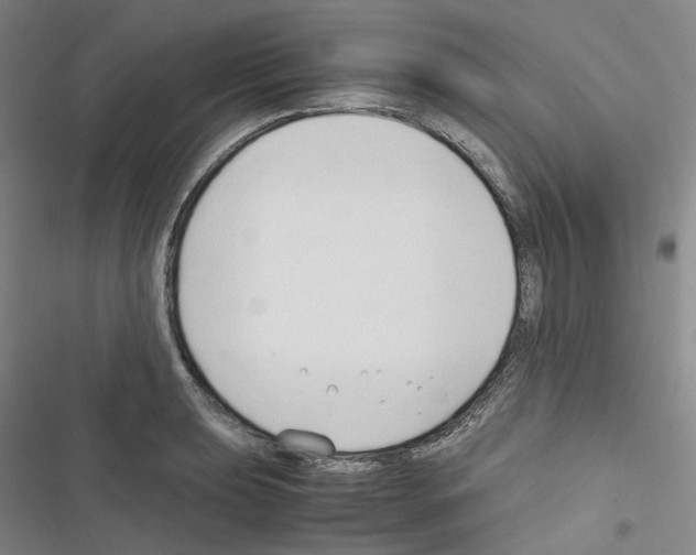 X0000116681039201001251256