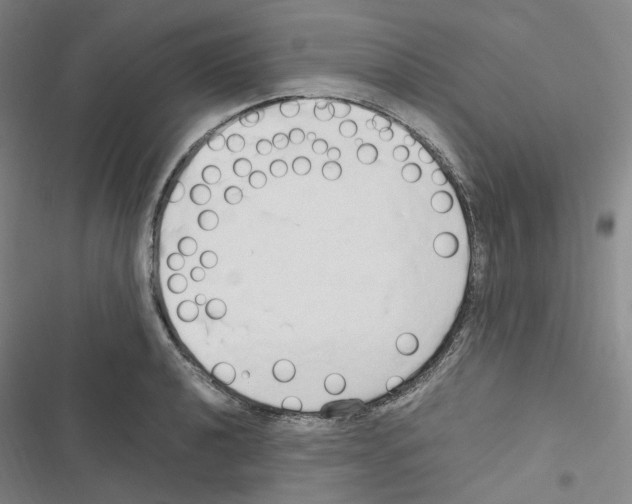 X0000116681040201001251256