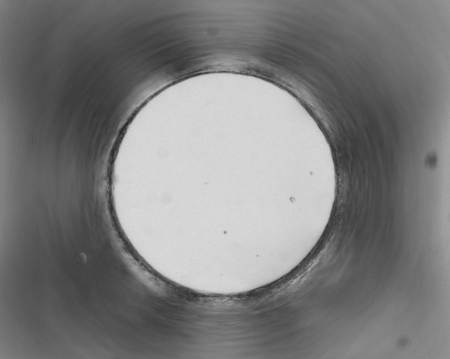 X0000116681042201001251256