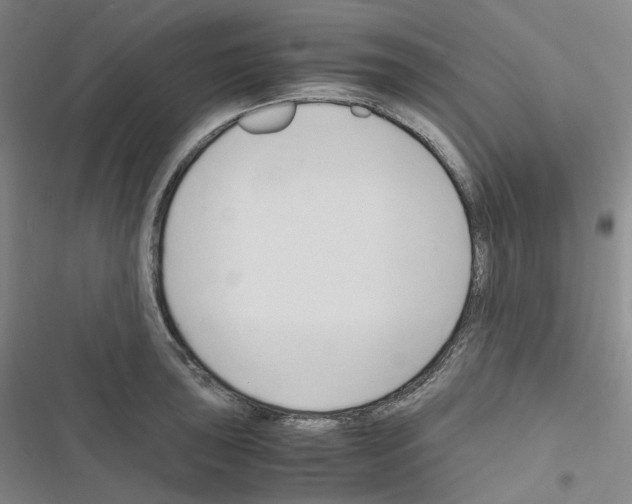 X0000116681043201001251256