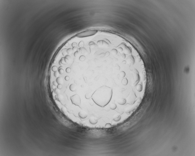 X0000116681044201001251256